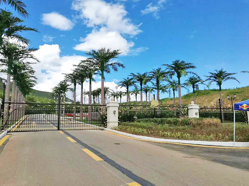 江门仿真树